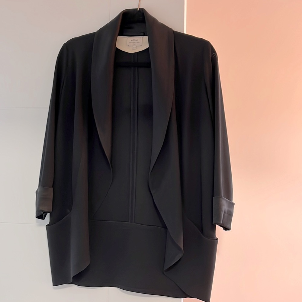 Aritzia Wilfred free blazer
